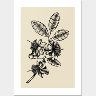 Blooming Flower with leaves and seed pods Posters and Art